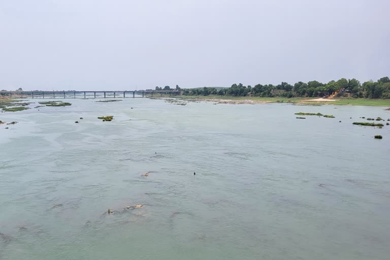 बेतिया में दर्दनाक हादसा: हरबोड़ा नदी में डूबे चार मासूम, SDRF ने बरामद किए सभी शव