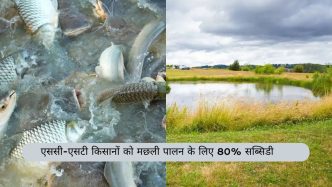 **Bihar Government Launches New Scheme Offering 80% Subsidy for Fish Farming to SC-ST Farmers**