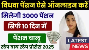 Widow Pension Scheme 2025