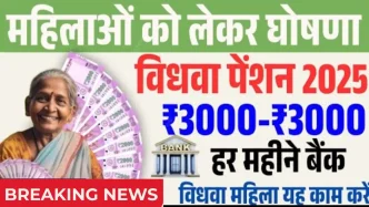 Widow Pension Scheme 2025