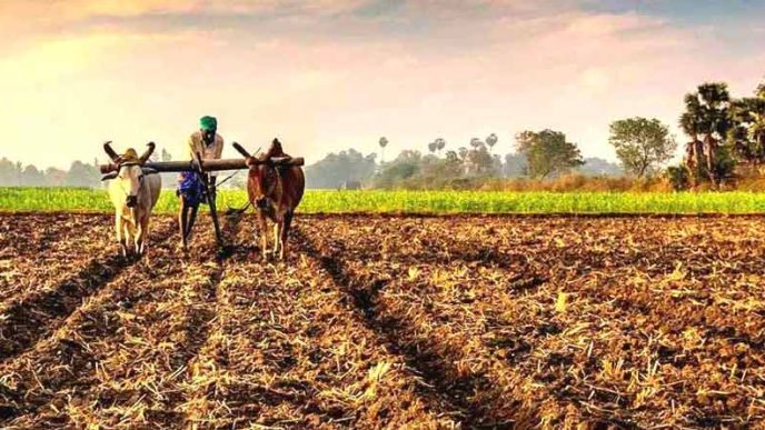 बिहार में 40% कम हुई मानसून बारिश, किसानों को सूखे और बढ़ती सिंचाई लागत का डर